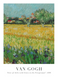 Постер без рамки "View of Arles with irises in the Foreground 1888 (В. Ван Гог)" в розмірі 30х40