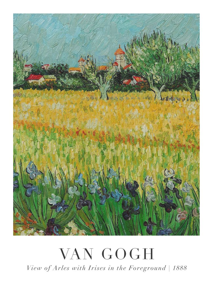 Постер без рамки "View of Arles with irises in the Foreground 1888 (В. Ван Гог)" в розмірі 30х40