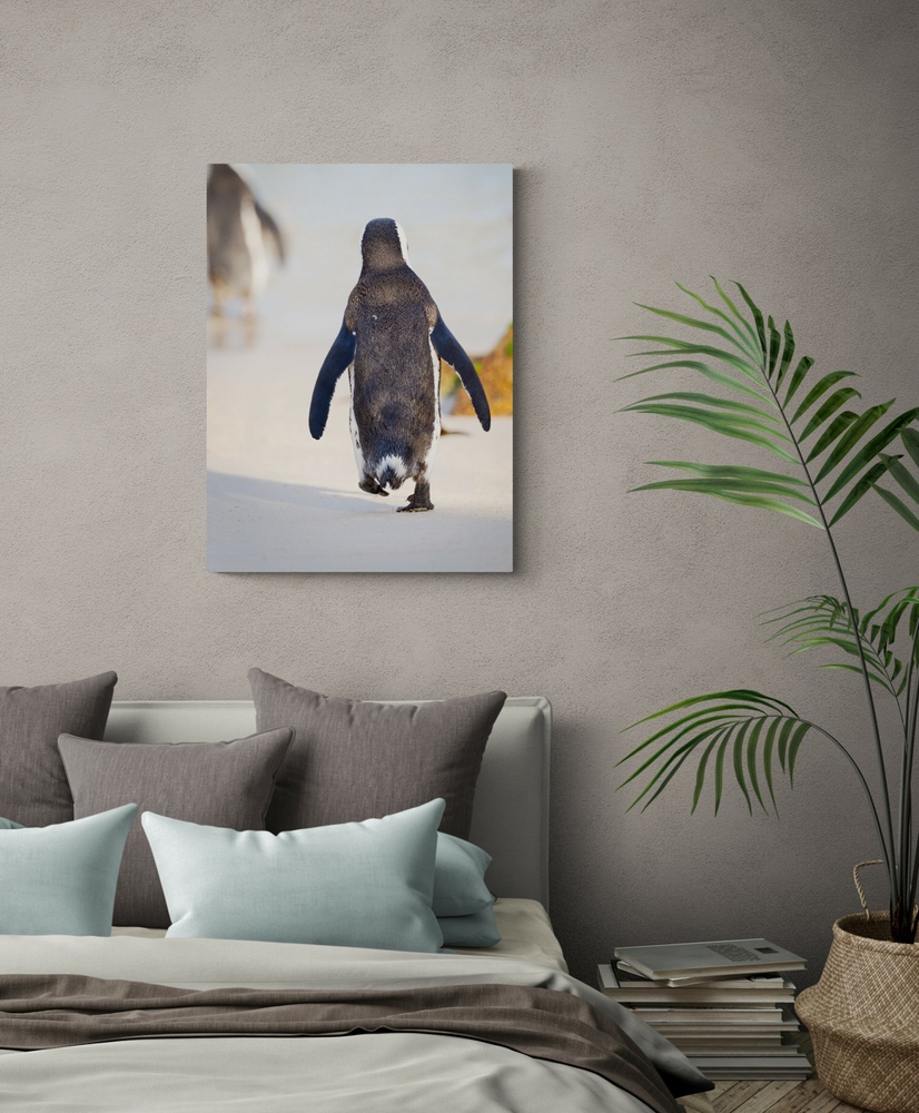 Постер без рамки "Уходящий пингвин" в размере 30х40