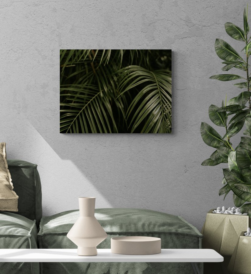Постер без рамки "Тропічна рослина" в розмірі 30х40