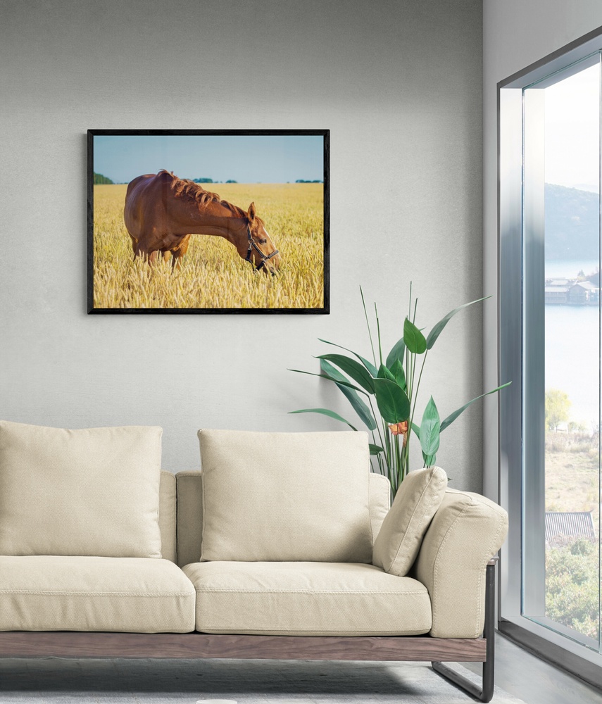 Постер без рамки "Лошадь в поле" в размере 30х40