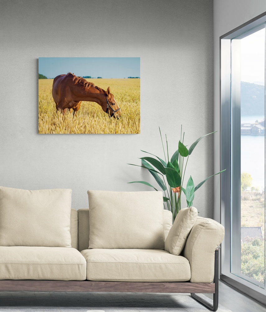 Постер без рамки "Лошадь в поле" в размере 30х40