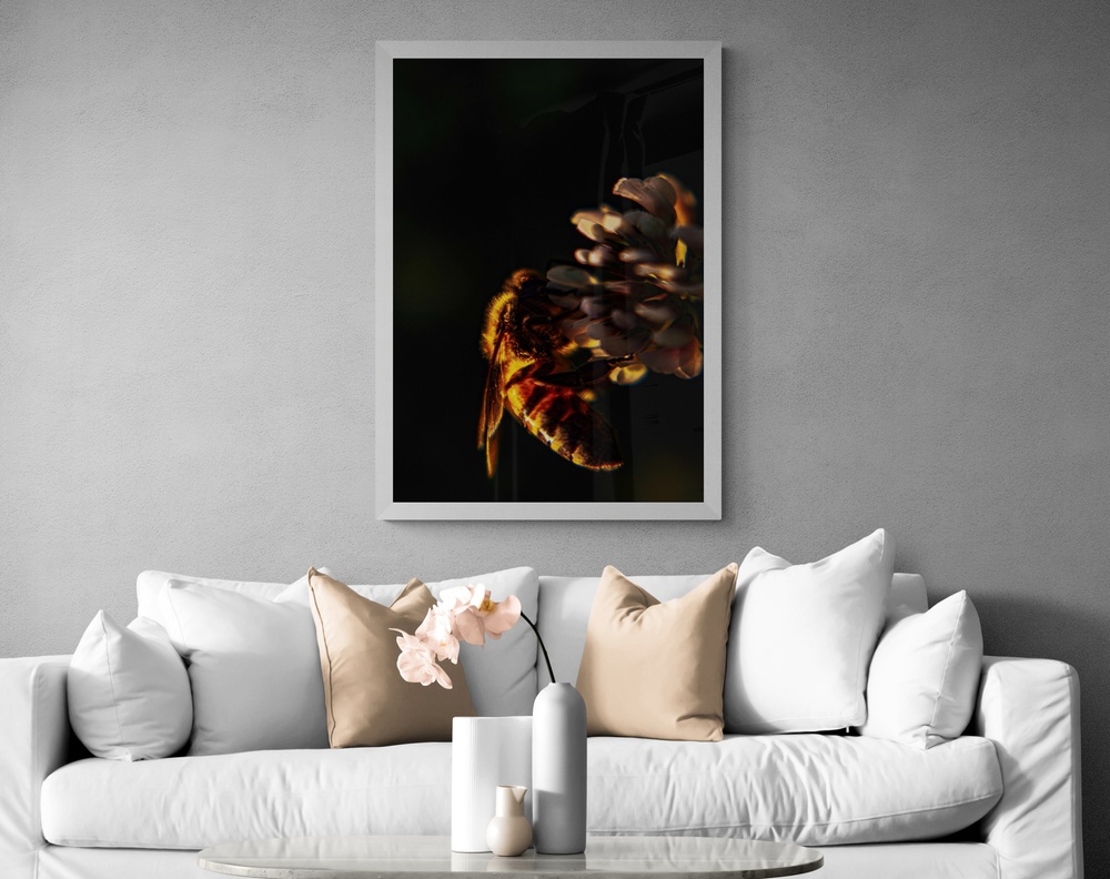 Постер без рамки "Пчела" в размере 30х40