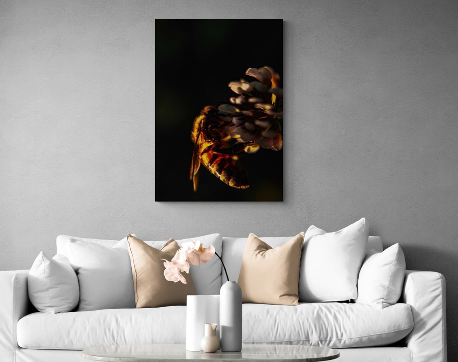 Постер без рамки "Бджола" в розмірі 30х40