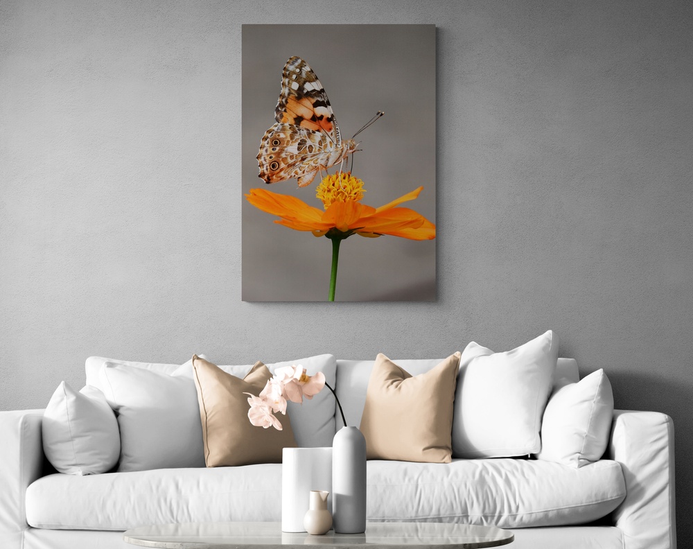 Постер без рамки "Бабочка на цветке" в размере 30х40
