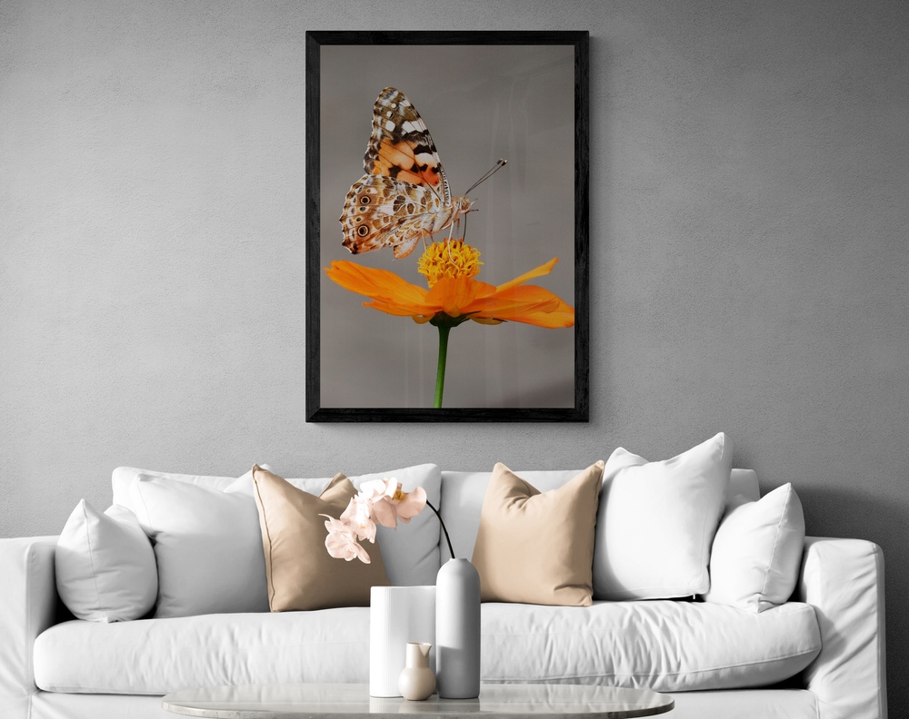 Постер без рамки "Метелик на квітці" в розмірі 30х40