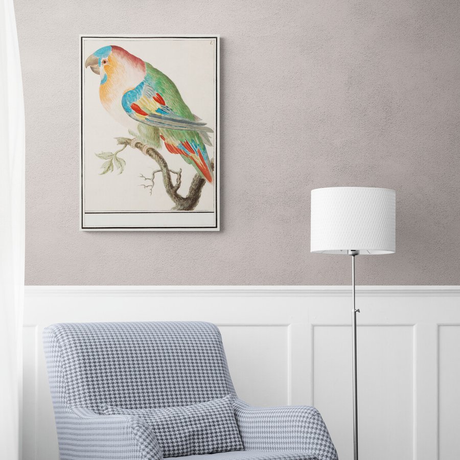 Постер без рамки "Multi-colored parrot" в размере 30х40