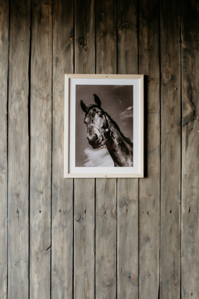Постер без рамки "Фото коня" в размере 30х40
