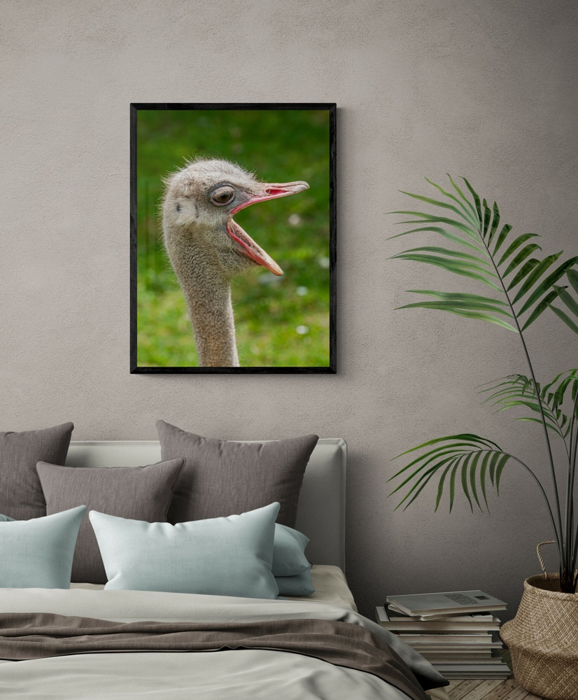 Постер без рамки "Крик страуса" в размере 30х40
