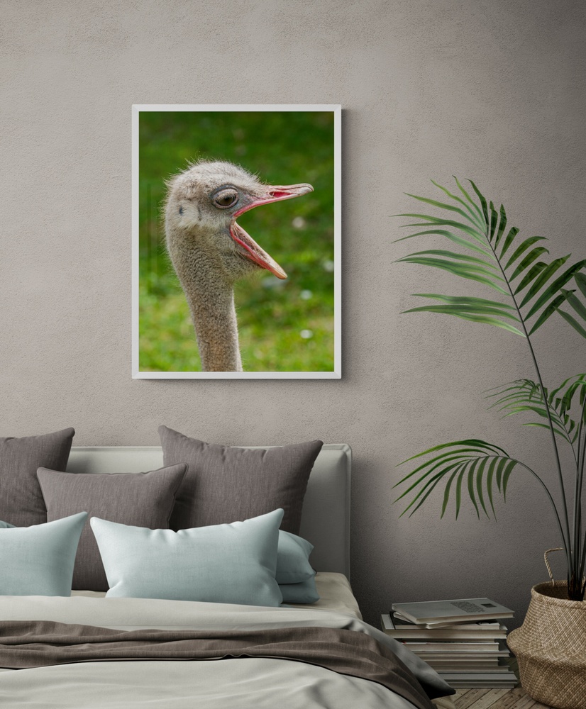 Постер без рамки "Крик страуса" в размере 30х40