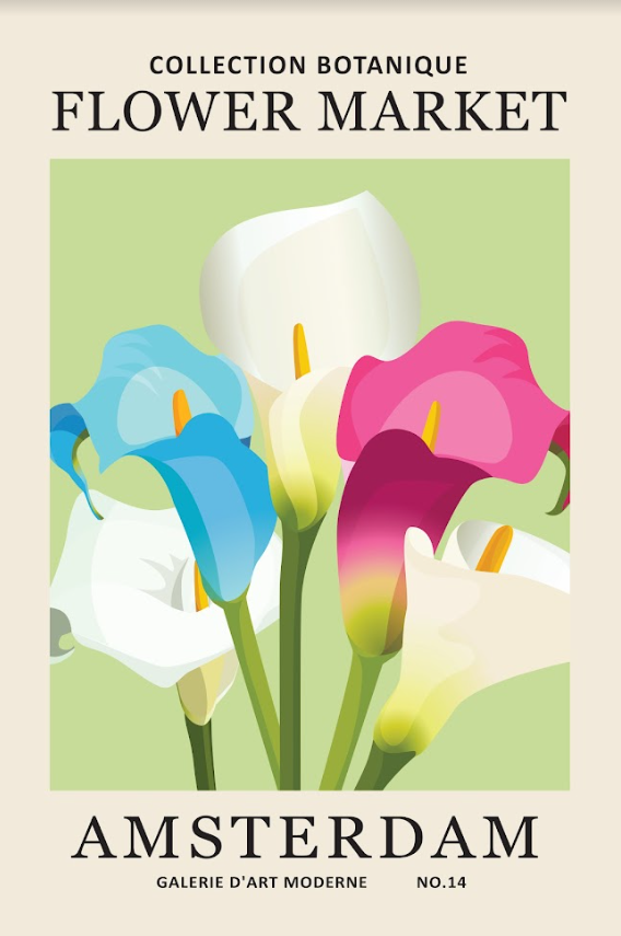 Постер без рамки Flower Market "Amsterdam" в размере 30х40