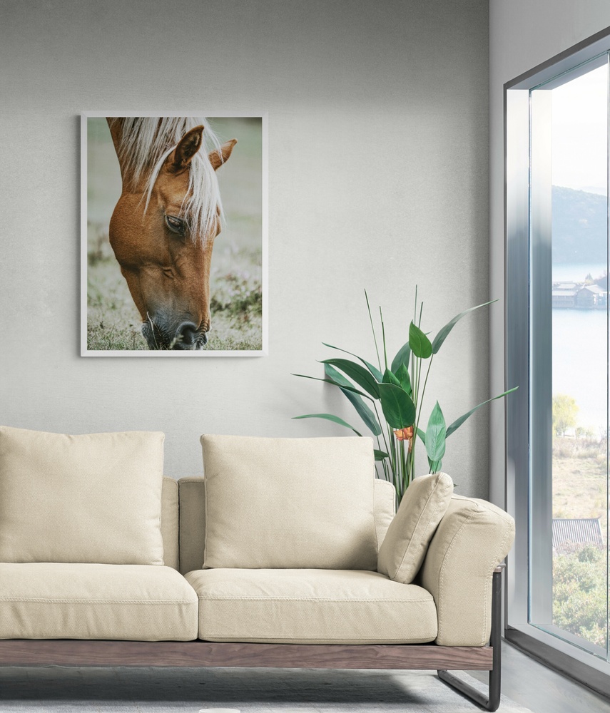 Постер без рамки "Конь на пастбище" в размере 30х40