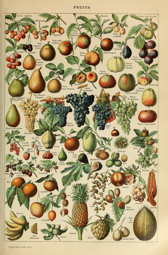 Постер без рамки "Vintage Fruits" в размере 30х40