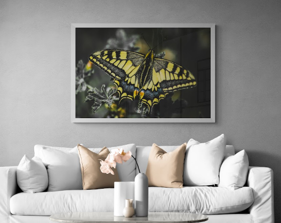 Постер без рамки "Бабочка Махаон" в размере 30х40