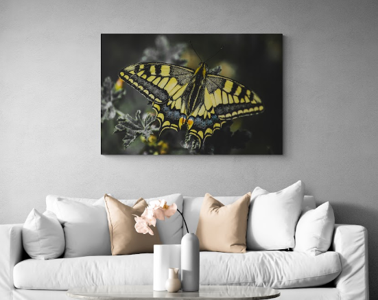 Постер без рамки "Бабочка Махаон" в размере 30х40