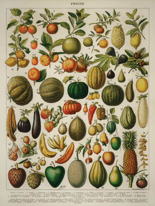 Постер без рамки "Vintage Poster Fruits" в размере 30х40