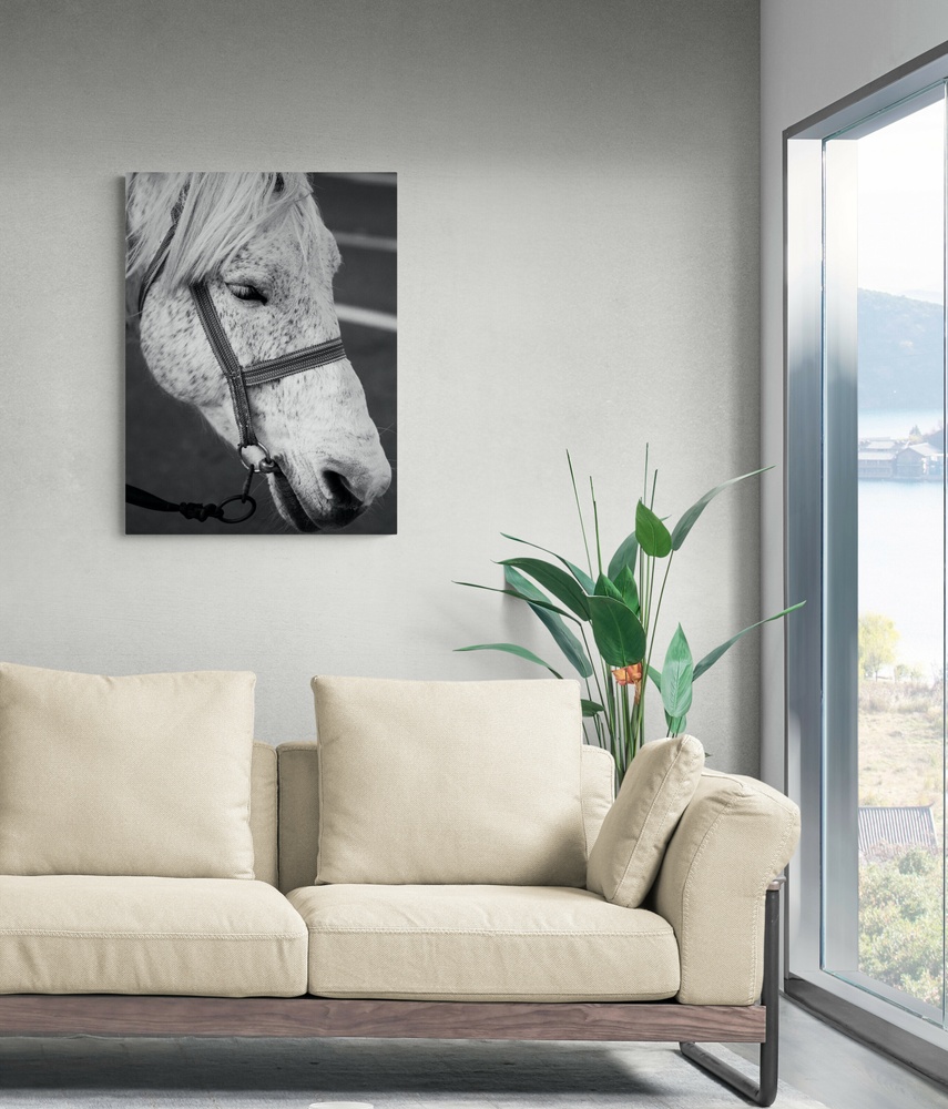 Постер без рамки "Белая лошадь" в размере 30х40