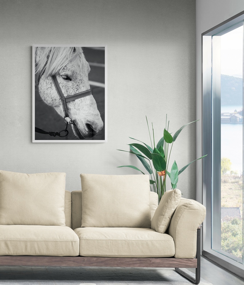 Постер без рамки "Белая лошадь" в размере 30х40