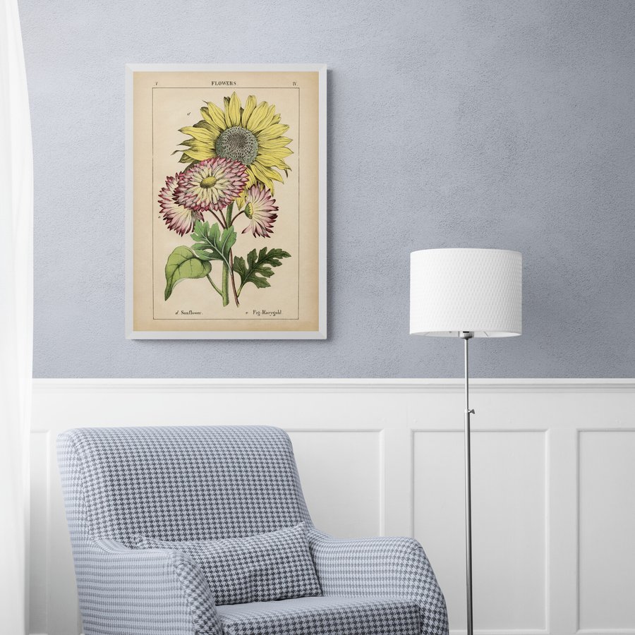 Постер без рамки "Sunflowers and Fig-Marygold" в розмірі 30х40