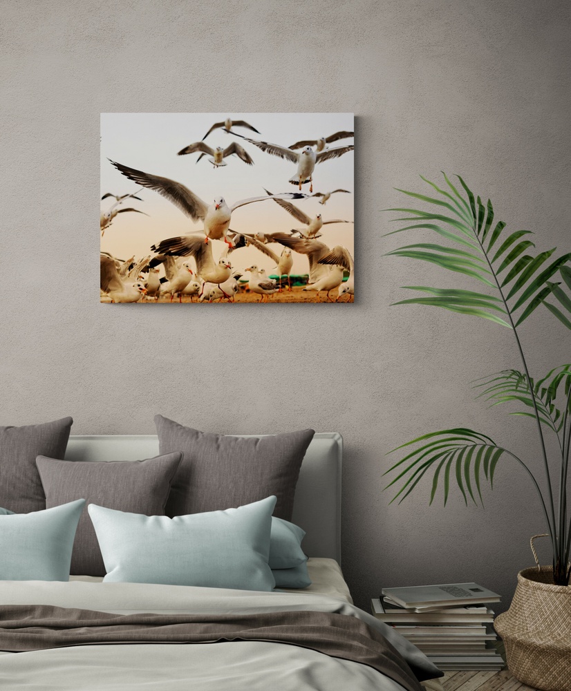 Постер без рамки "Чайки на пляжі" в розмірі 30х40