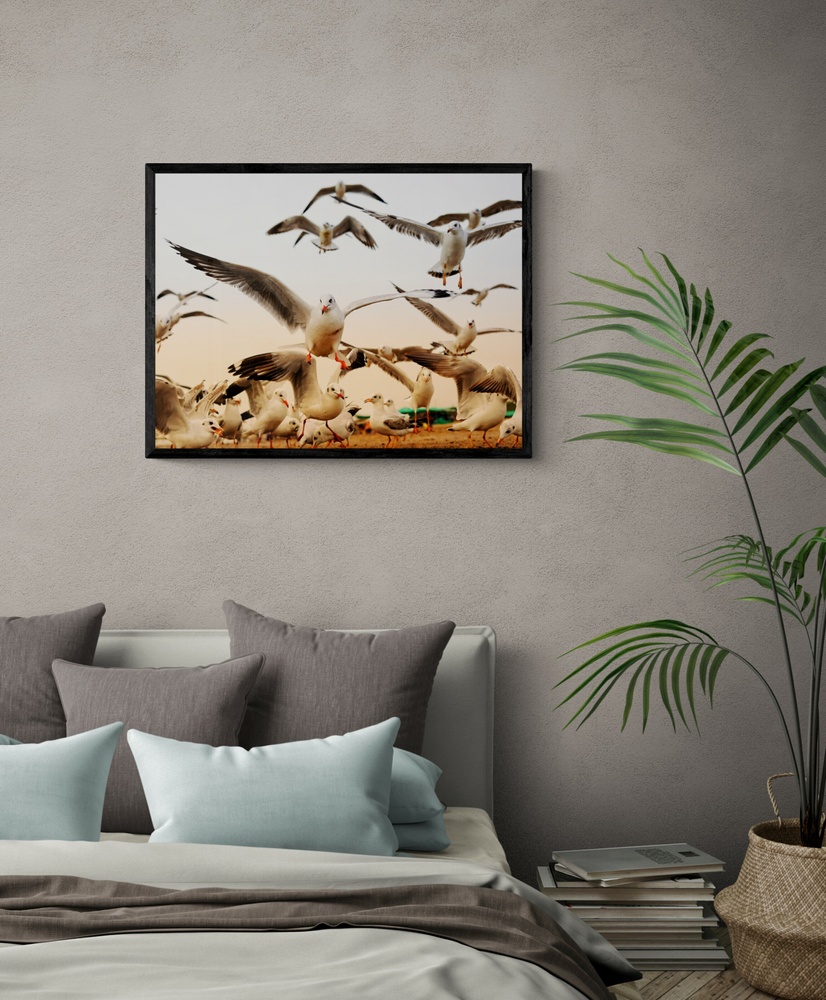 Постер без рамки "Чайки на пляже" в размере 30х40