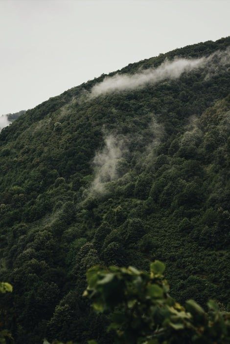 Сет з 3-х картин на фотопапері з пластиковою рамкою та пластиком "Гірська ріка" у розмірах 40х50 см