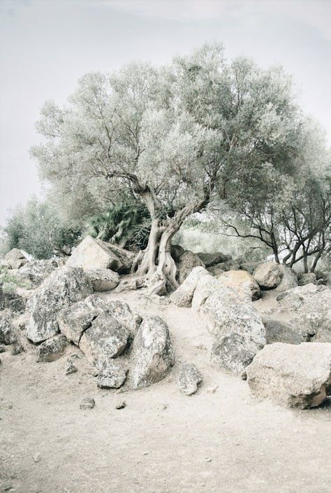 Сет из 6-х картин на фотобумаге с пластиковой рамкой и пластиком "Итальянские мотивы" в размерах 50х70 - 2 шт, 30х40 - 2 шт, 40х59 - 2 шт