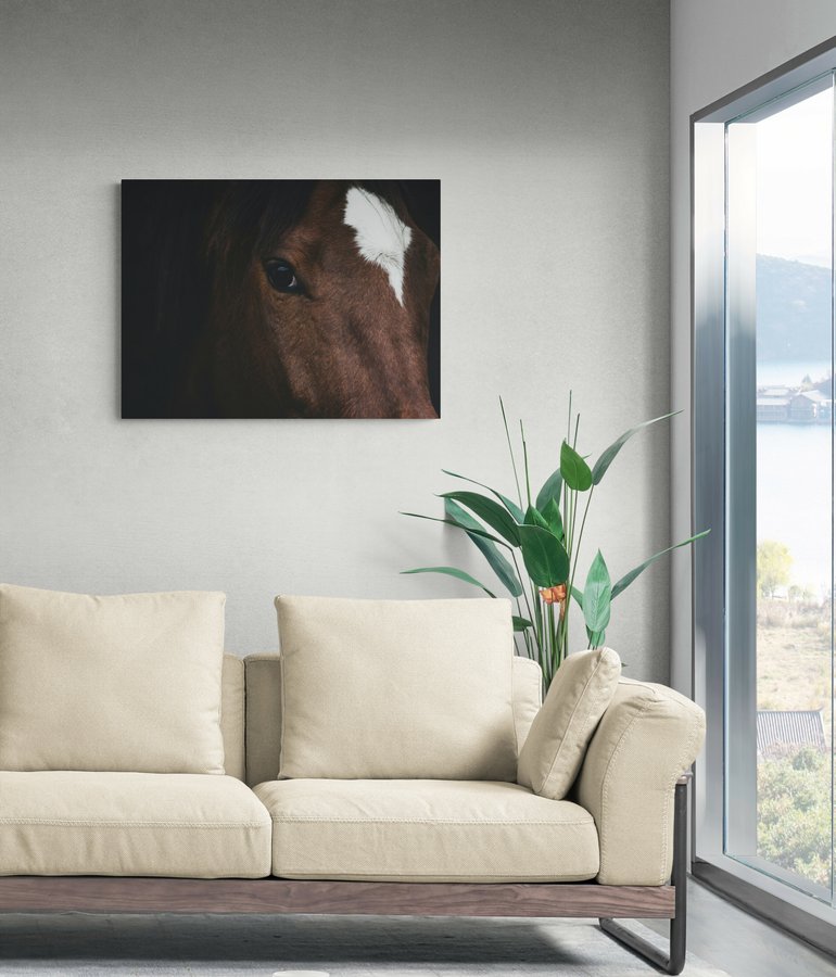 Постер без рамки "Погляд коричневого коня" в розмірі 30х40