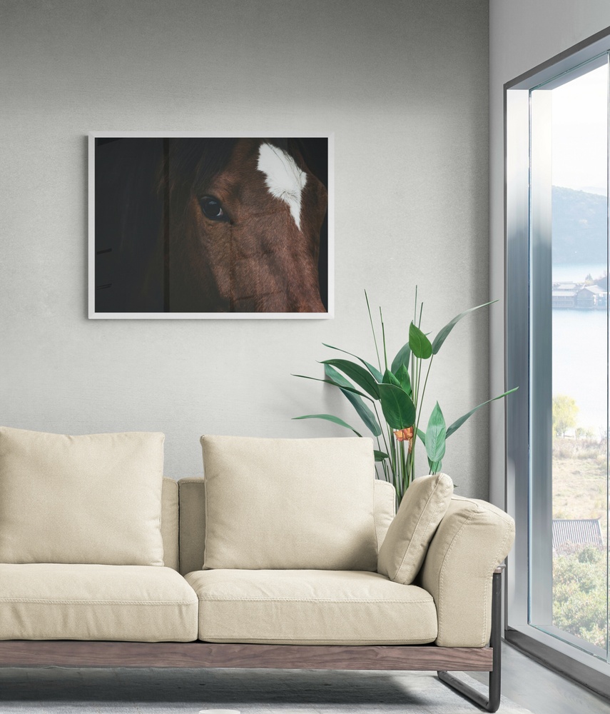Постер без рамки "Взгляд коричневой лошади" в размере 30х40