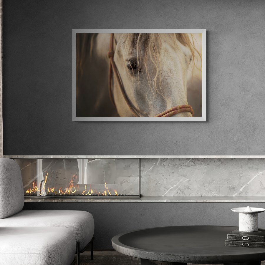Постер без рамки "Белый конь 2" в размере 30х40
