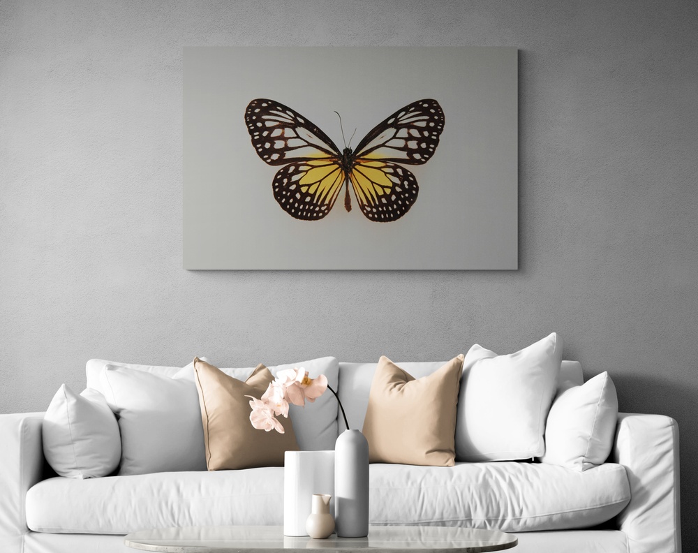 Постер без рамки "Бабочка" в размере 30х40