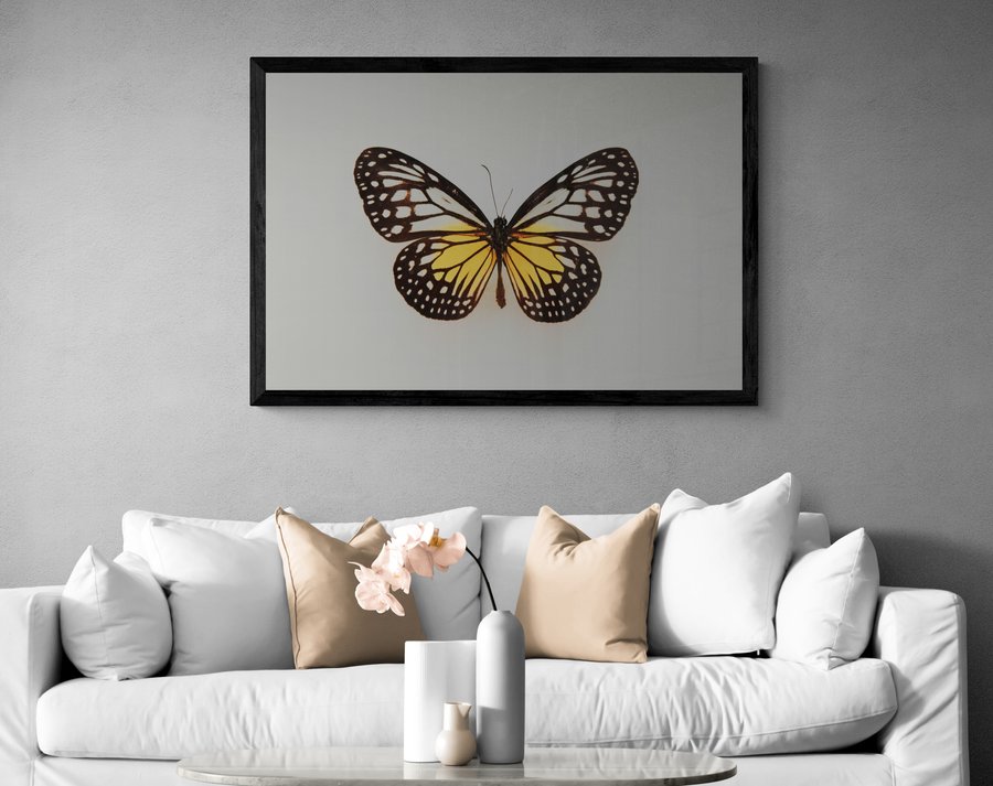 Постер без рамки "Метелик" в розмірі 30х40