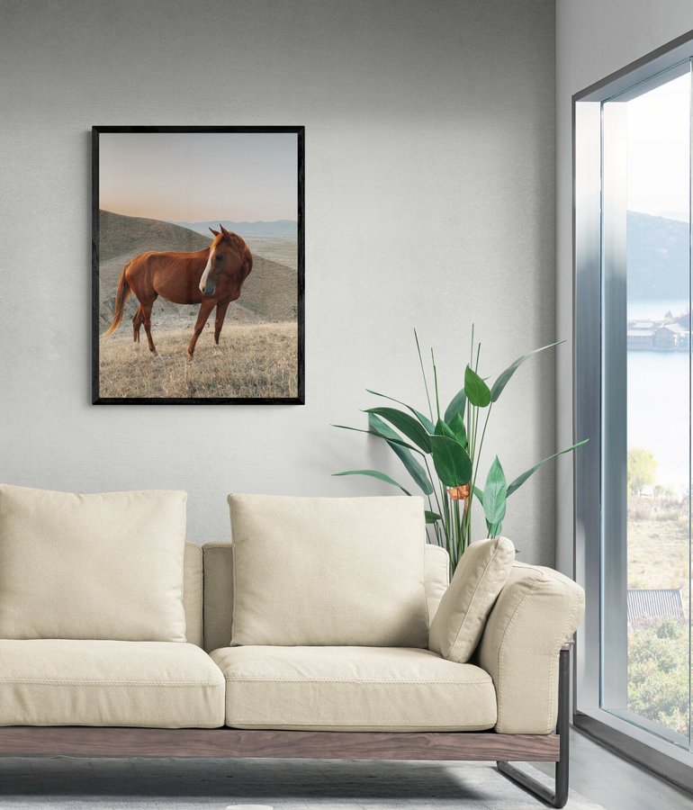Постер без рамки "Кінь на горі" в розмірі 30х40