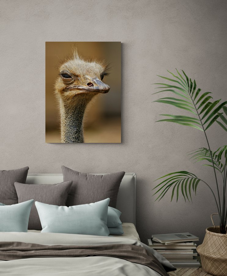 Постер без рамки "Голова страуса" в розмірі 30х40