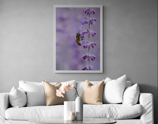 Постер без рамки "Пчела собирает нектар" в размере 30х40