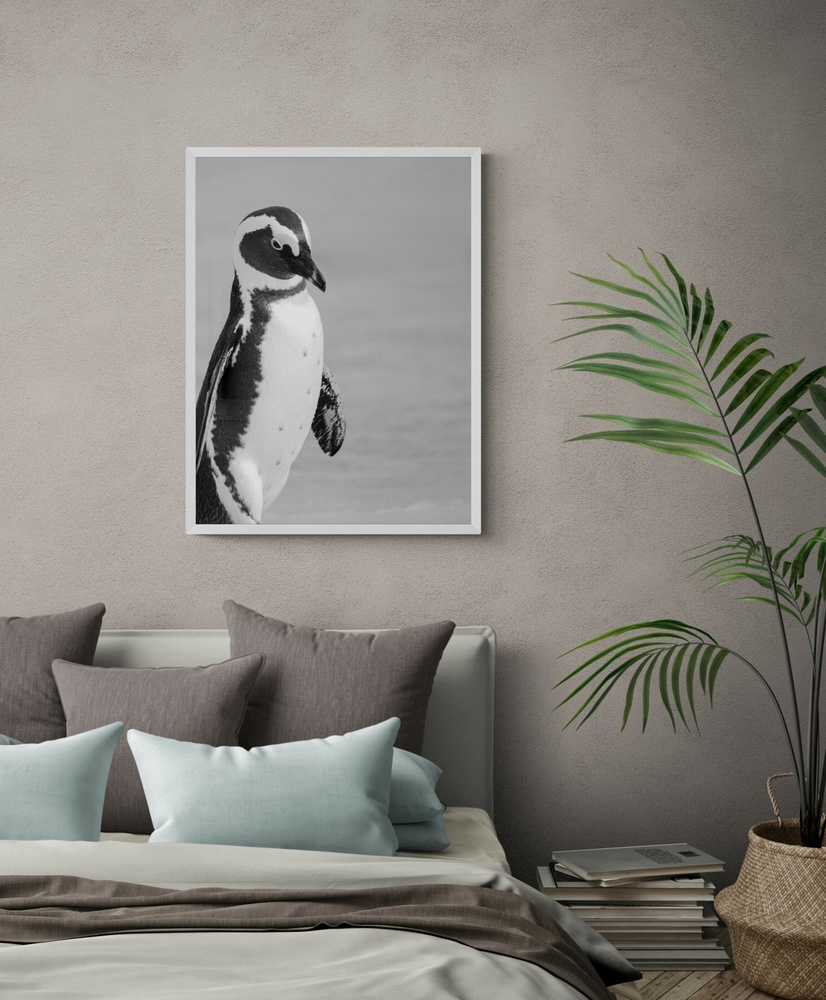 Постер без рамки "Пингвин" в размере 30х40