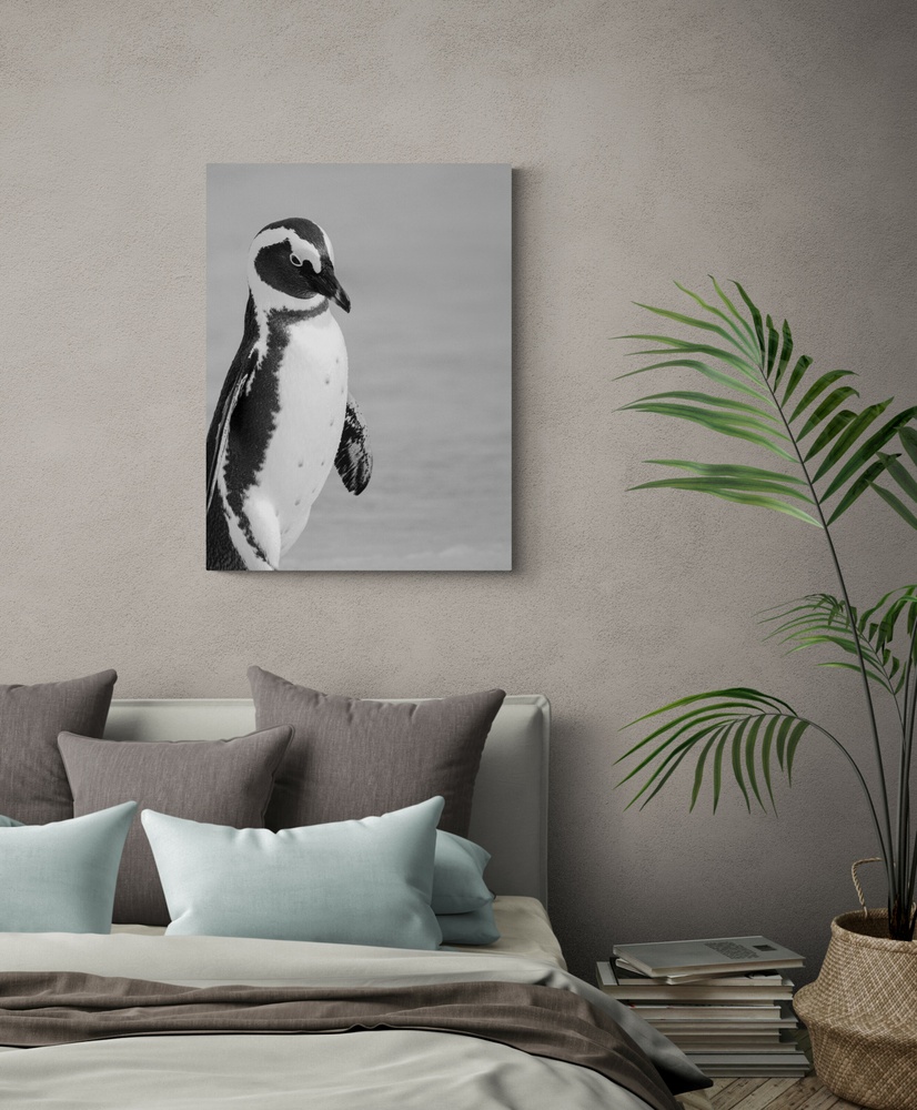 Постер без рамки "Пингвин" в размере 30х40