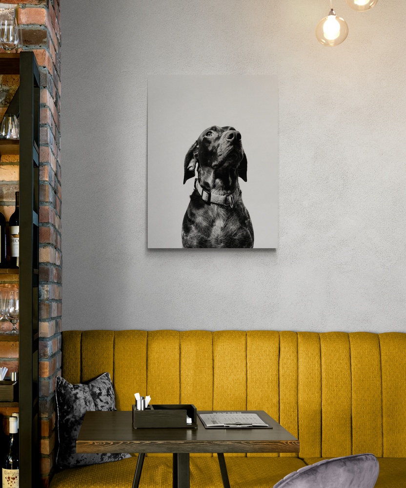 Постер без рамки "Черно-белое фото собаки" в размере 30х40