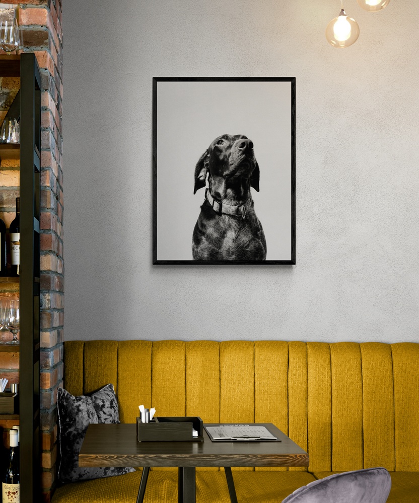 Постер без рамки "Черно-белое фото собаки" в размере 30х40