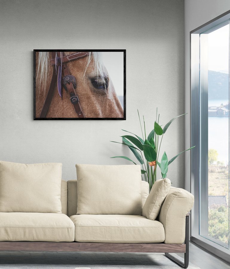 Постер без рамки "Погляд коня" в розмірі 30х40