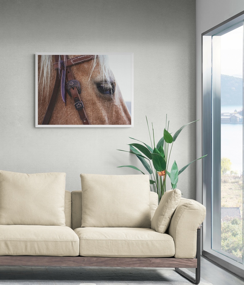 Постер без рамки "Погляд коня" в розмірі 30х40
