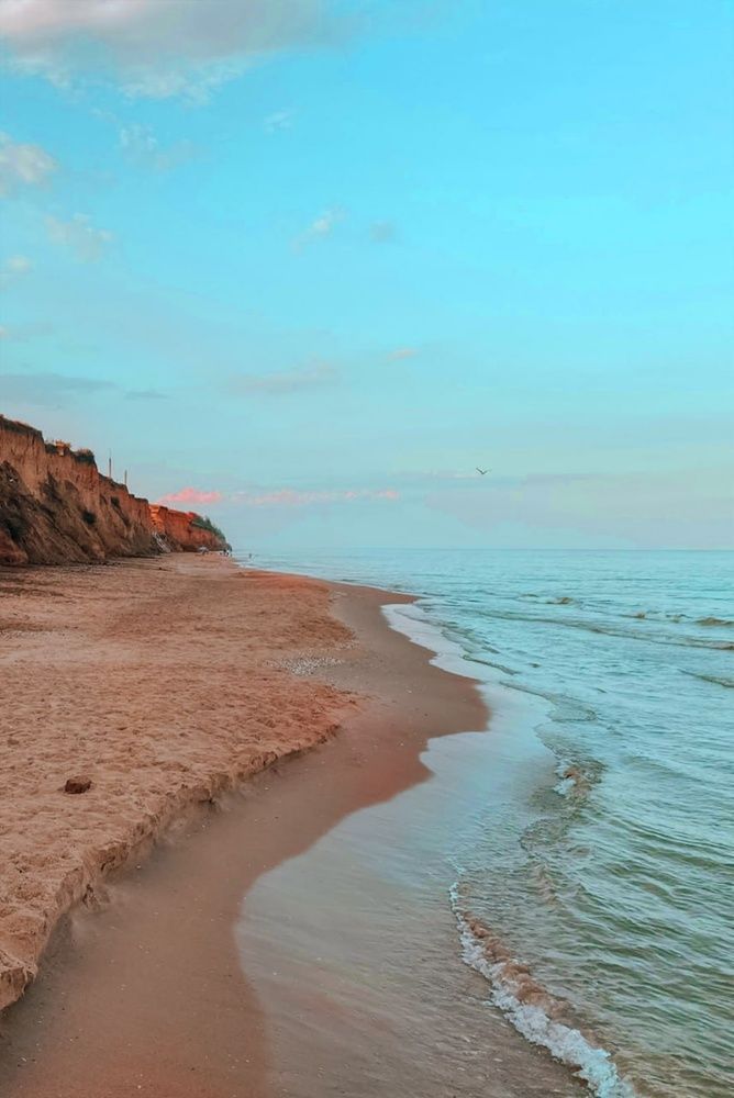 Сет з 2-х картин на фотопапері з пластиковою рамкою та пластиком "Силуети вічного літа" у розмірах 40х50 см