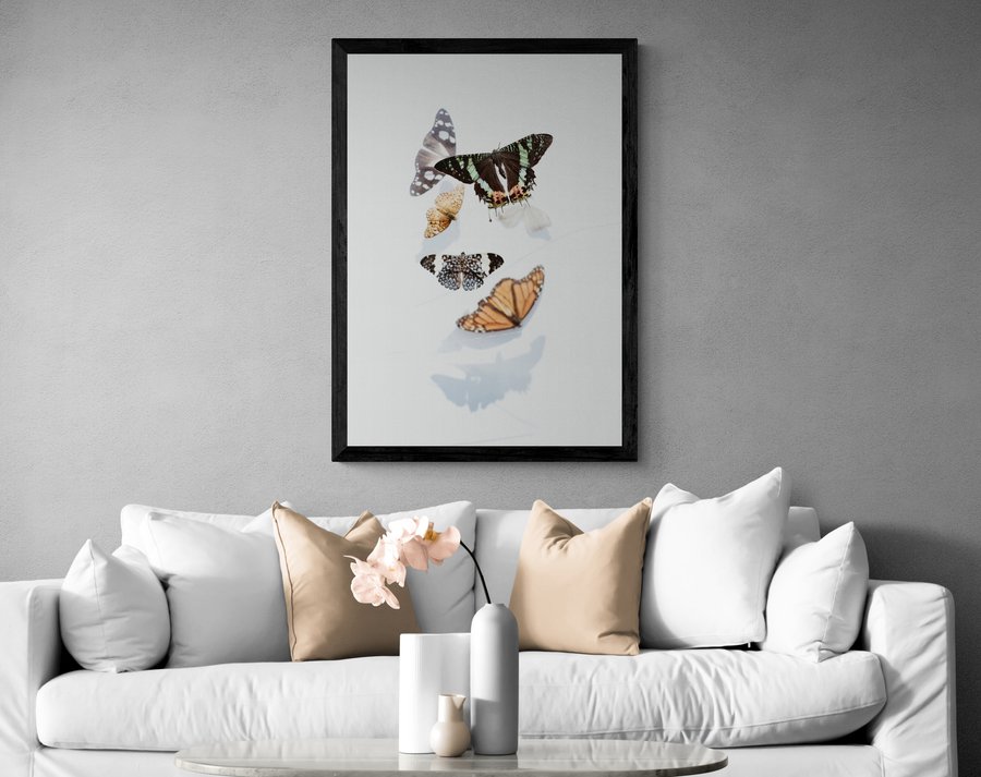 Постер без рамки "Метелики на білому тлі" в розмірі 30х40
