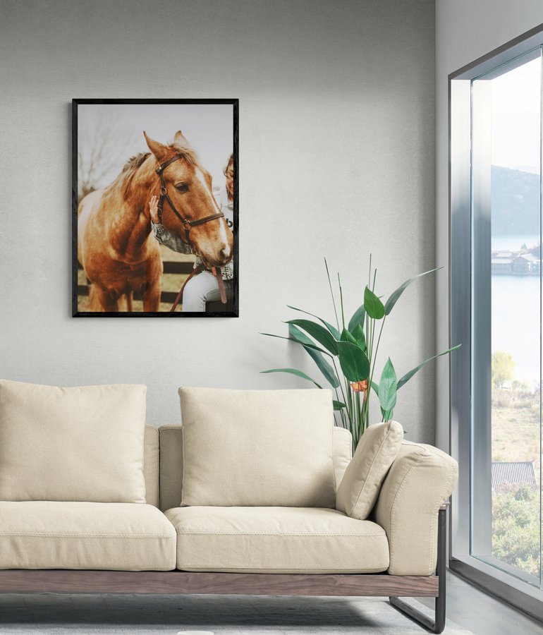 Постер без рамки "Коричневий кінь" в розмірі 30х40