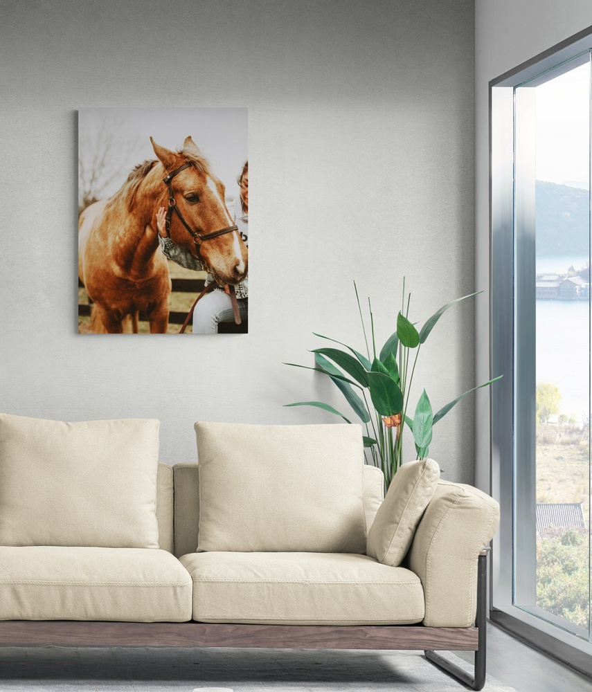 Постер без рамки "Коричневый конь" в размере 30х40