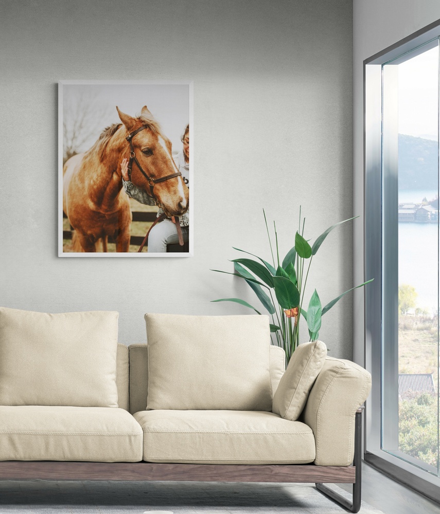 Постер без рамки "Коричневый конь" в размере 30х40