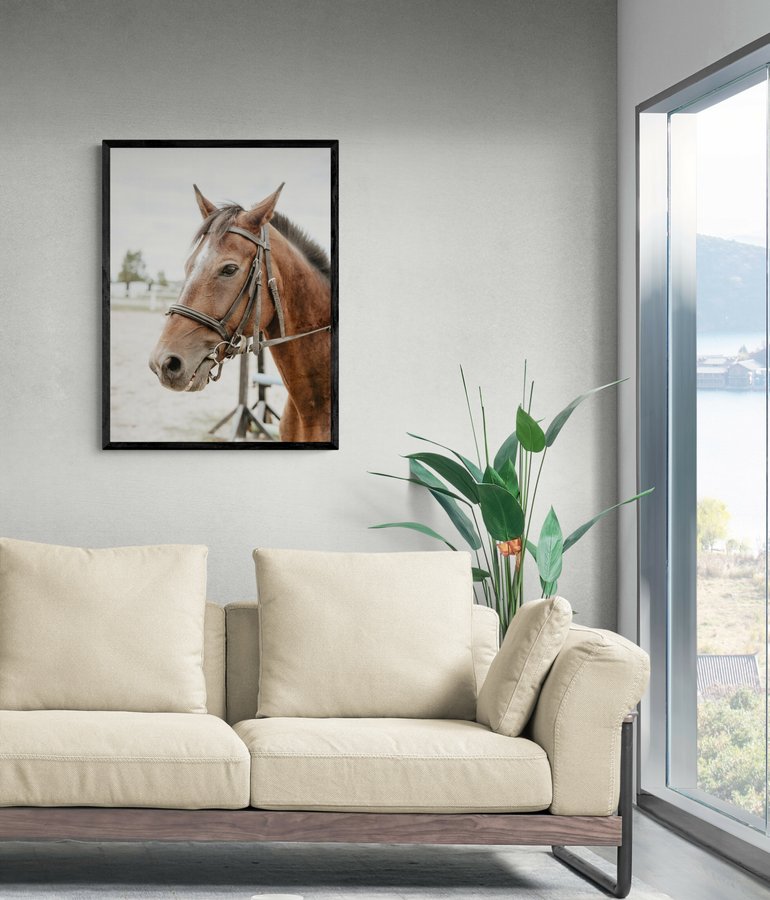 Постер без рамки "Коричневий кінь 2" в розмірі 30х40