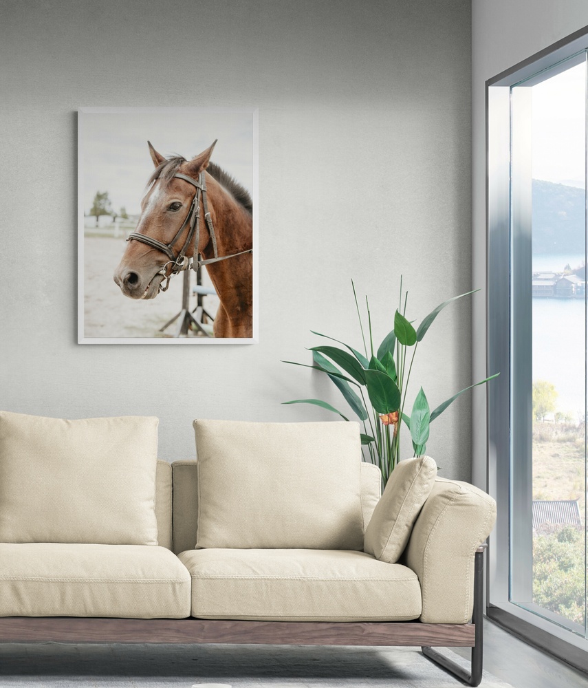 Постер без рамки "Коричневый конь 2" в размере 30х40