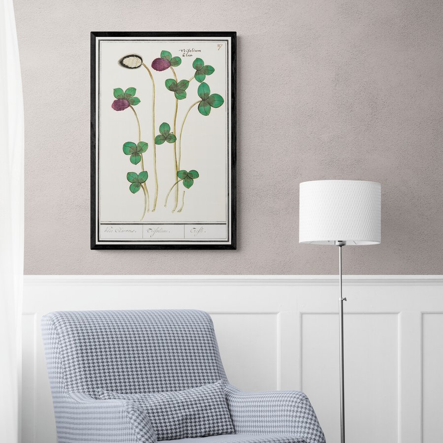 Постер без рамки "Trifolium Crefle" в розмірі 30х40