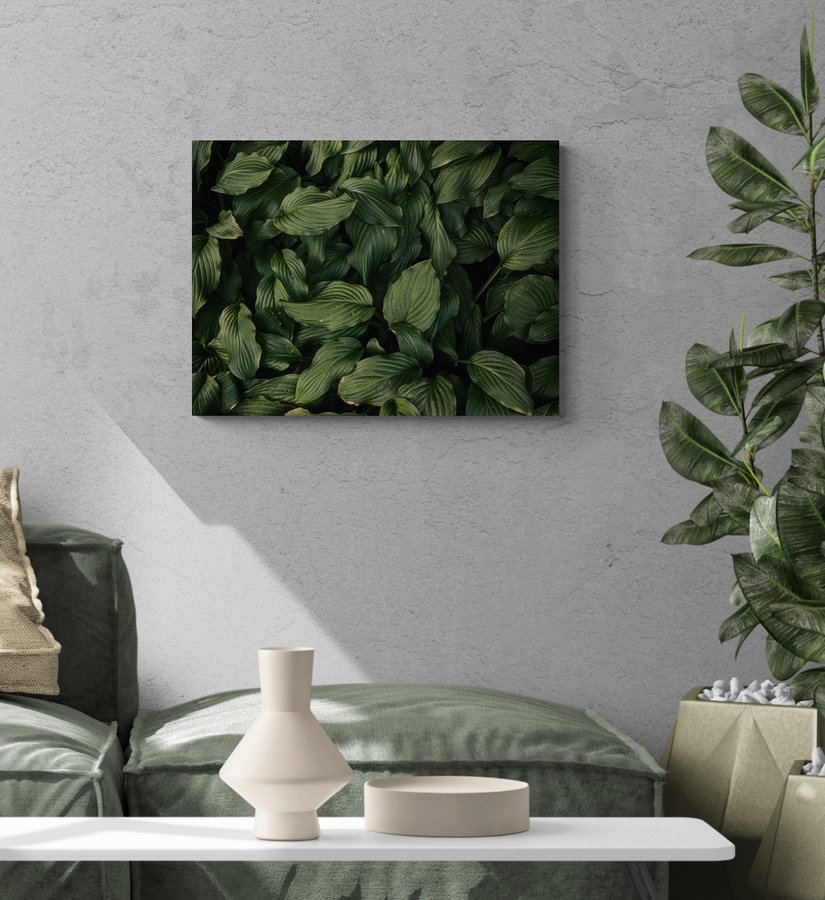 Постер без рамки "Темно-зелене листя" в розмірі 30х40